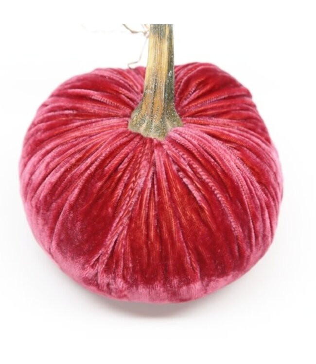 HOT SKWASH Jumbo Junior Velvet Pumpkin