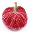 HOT SKWASH Jumbo Junior Velvet Pumpkin