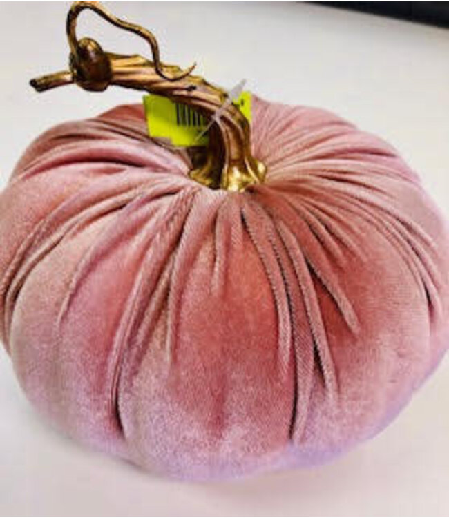 Velvet Pumpkin