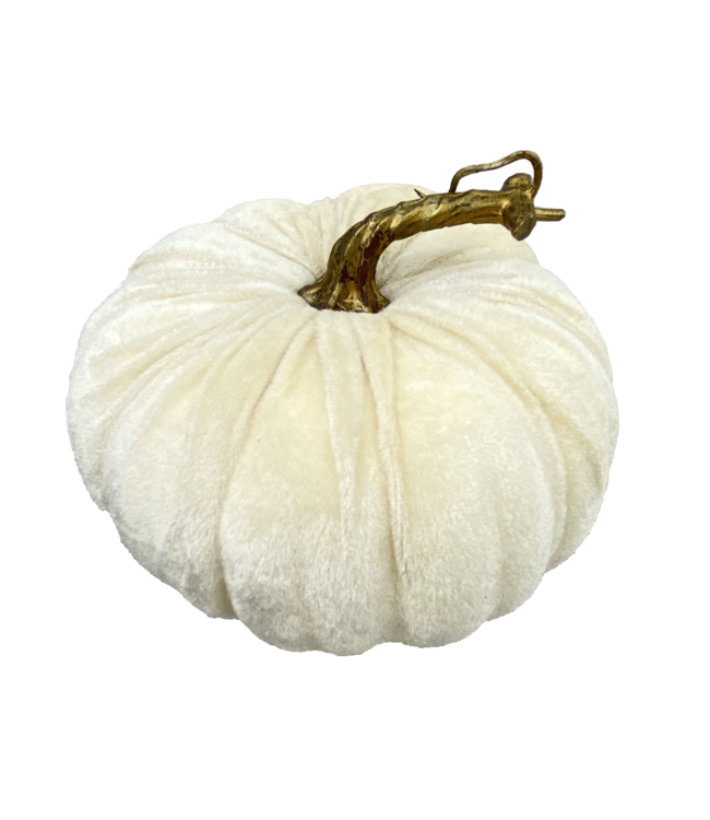Velvet Pumpkin