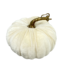 Velvet Pumpkin
