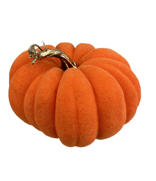 Flocked Pumpkin