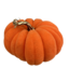 Flocked Pumpkin