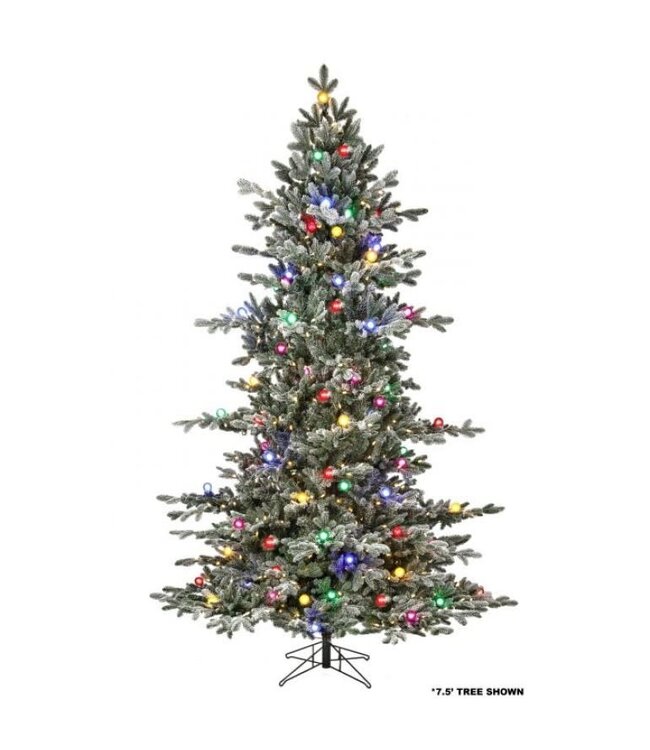 9' Epled Candied SP Tree