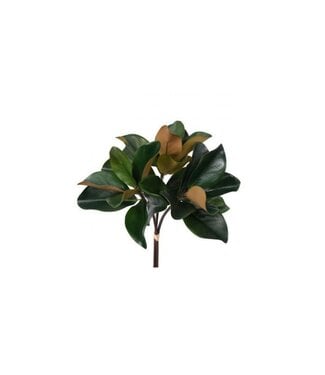 18" Charleston Magnolia Bundle
