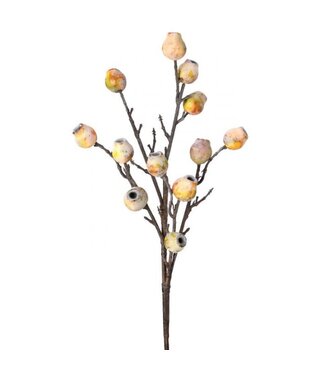 21" Autumn Filbert Berry Spray