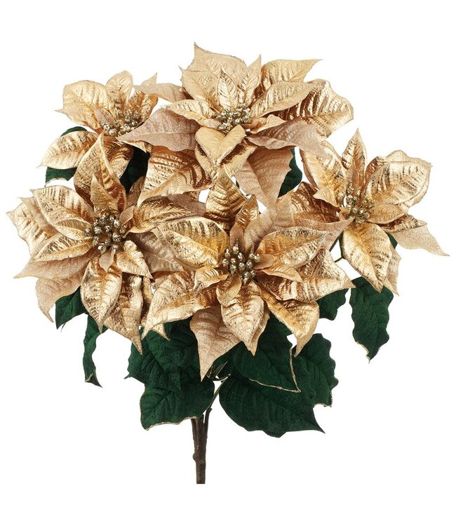 23" Sparkle Poinsettia Bush x5