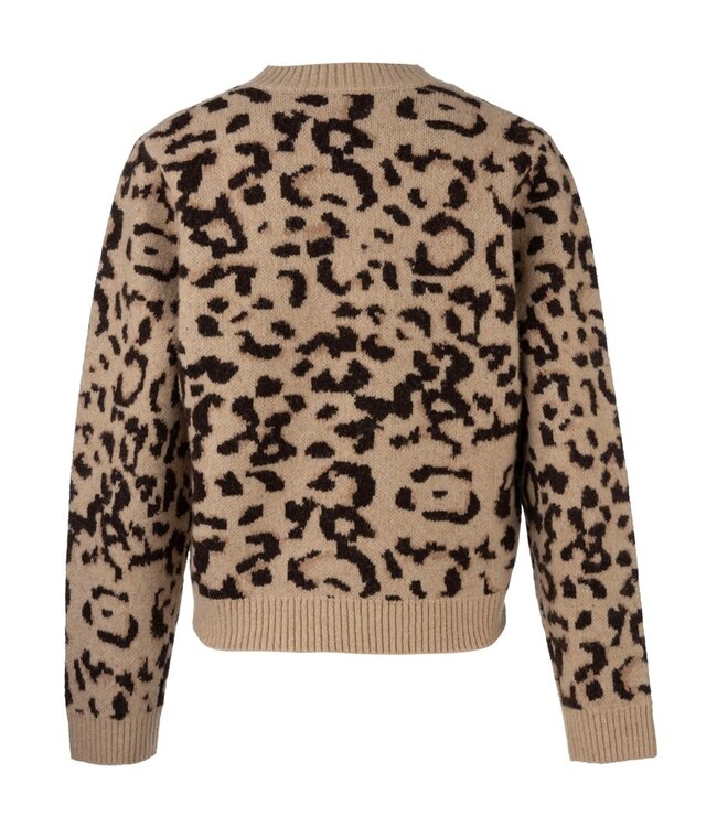 KUT FROM THE KLOTH Gisela-Animal Print Pullover Sweater