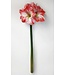 16in Ice Amaryllis Spray
