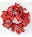 Ice Amaryllis Wreath