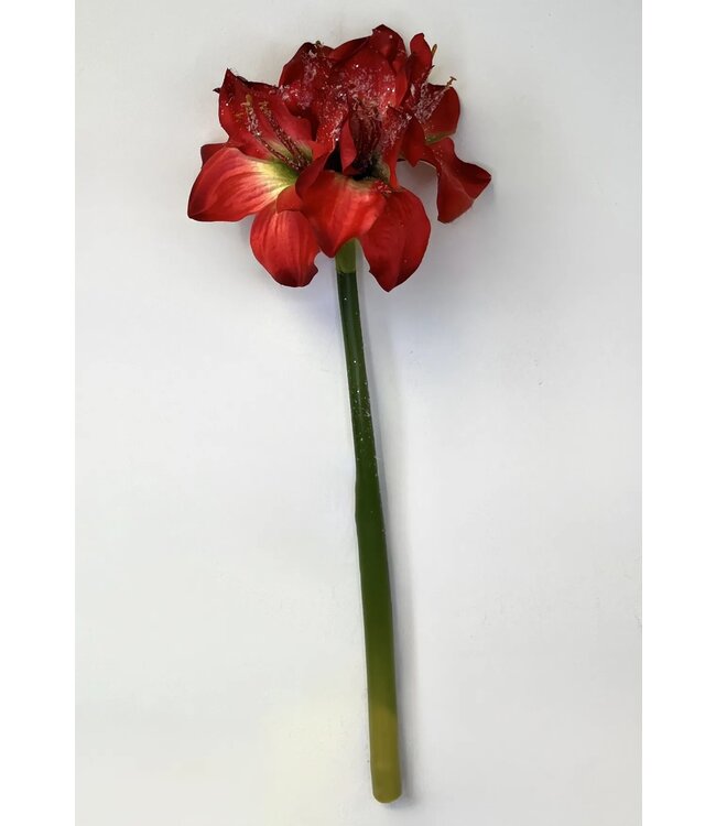 16in Ice Amaryllis Spray
