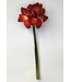 16in Ice Amaryllis Spray