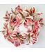 Ice Amaryllis Wreath