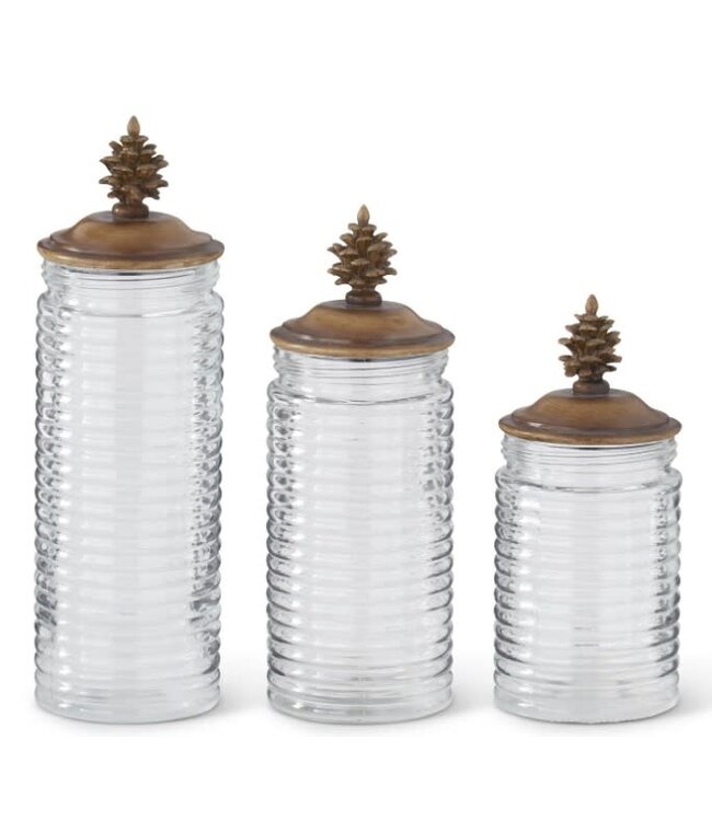 Ribbed Clear Glass Containers w/Brown Resin Pinecone - Set of 3