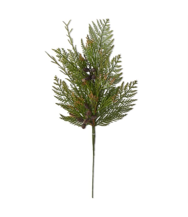 24" Juniper Pine Stem w/Mini Pinecones