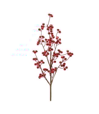 25" Berry Spray Foam