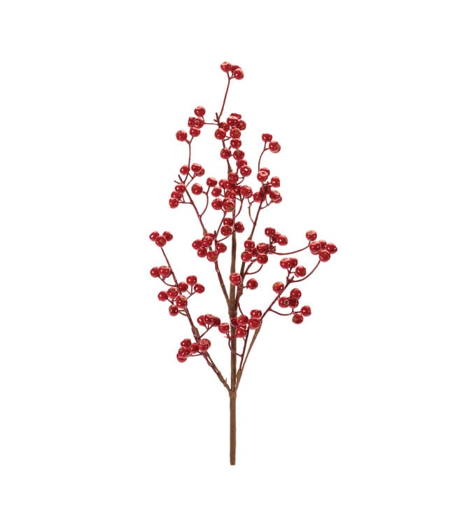 25" Berry Spray Foam