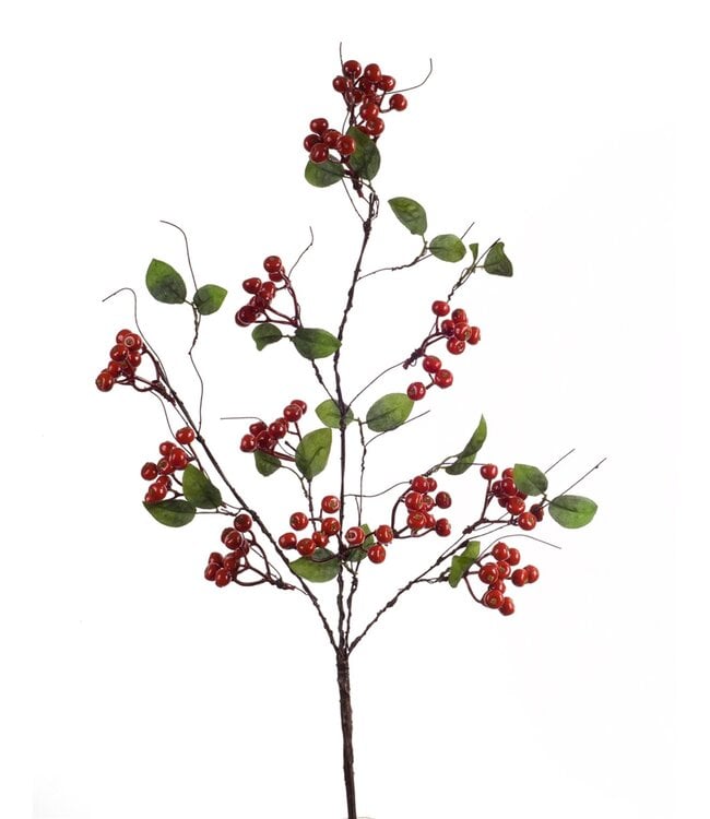 27"H Berry Spray Foam/Wire - RE/BR