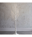 7' Lighted Birch Tree
