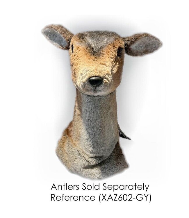 18.5"H Male Reindeer Head Gray