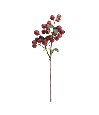 Crabapple Red