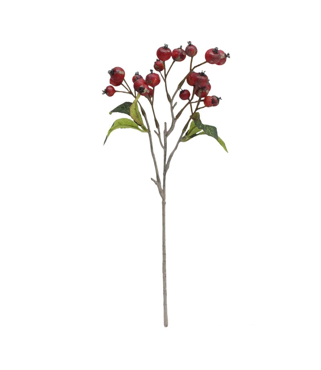 Linden Berry Stem Red