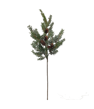 Douglas Fir Branch Gray Green