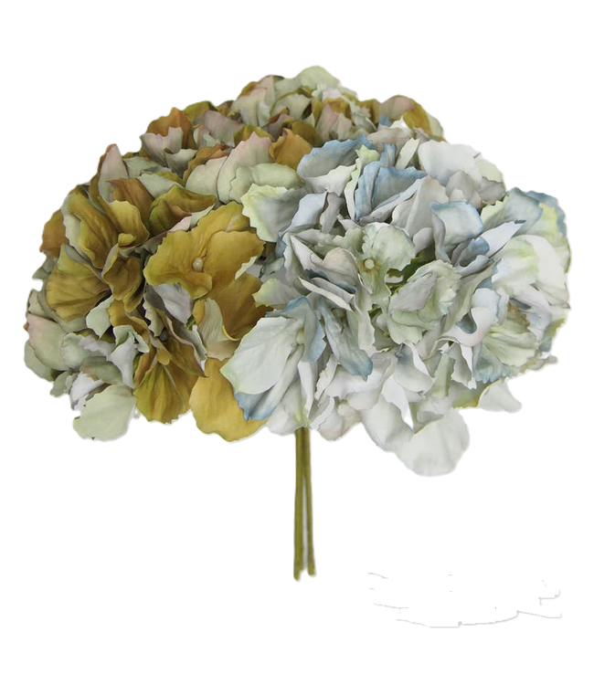 Hydrangea Bundle - Late Season Green-Blue