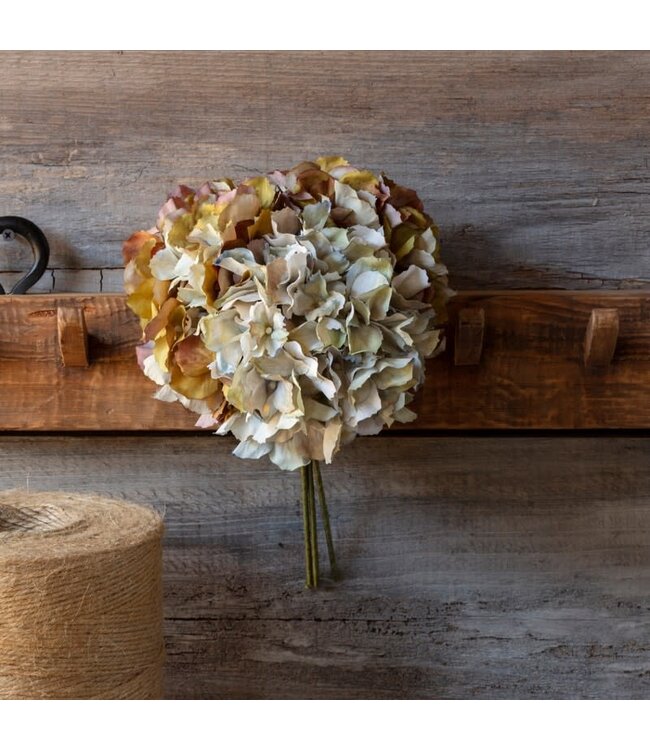 Hydrangea Bundle - Late Season Green-Blue