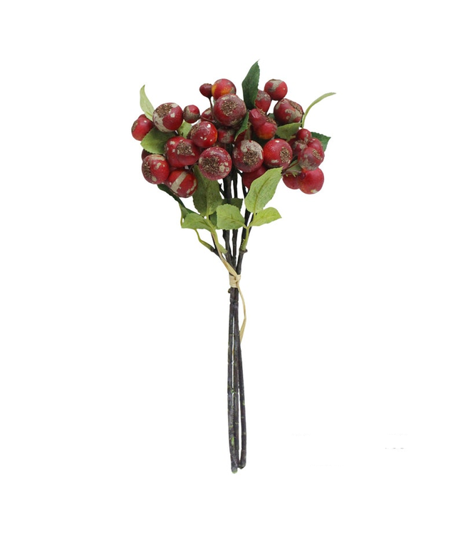 Red Rose Hip Bundle