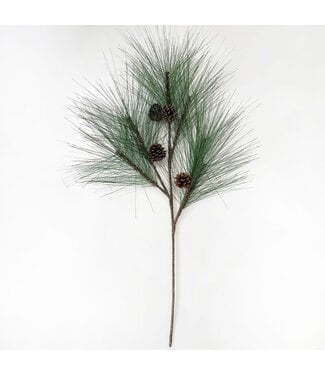 Foothill Pine Bunch