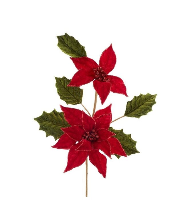 Holly & Poinsettia Pick