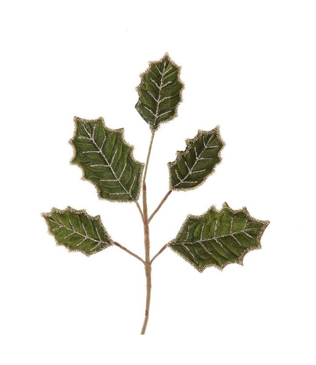 Green Holly Pick