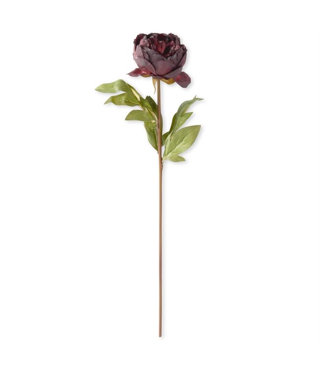 Faux Dried Peony Stem