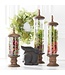Glass Cylinder Containers With Brown Wood Base Pedestal & Top