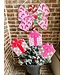 THE ROUND TOP COLLECTION Beck's Vintage Candy Cane Bow
