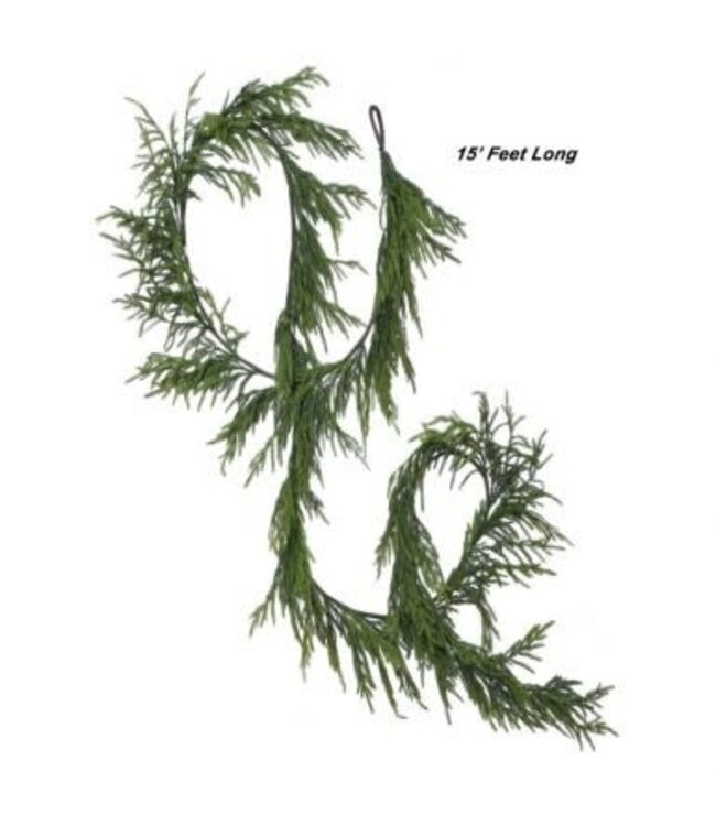 180" Real Touch Norfolk Pine Garland