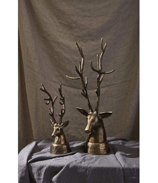 Deerhead