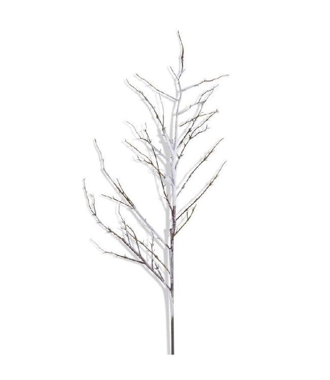 51 Inch Flocked Snowy Branch