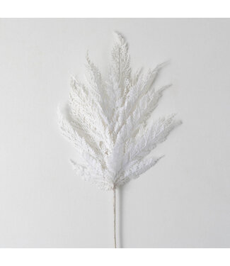 White Cypress Spray
