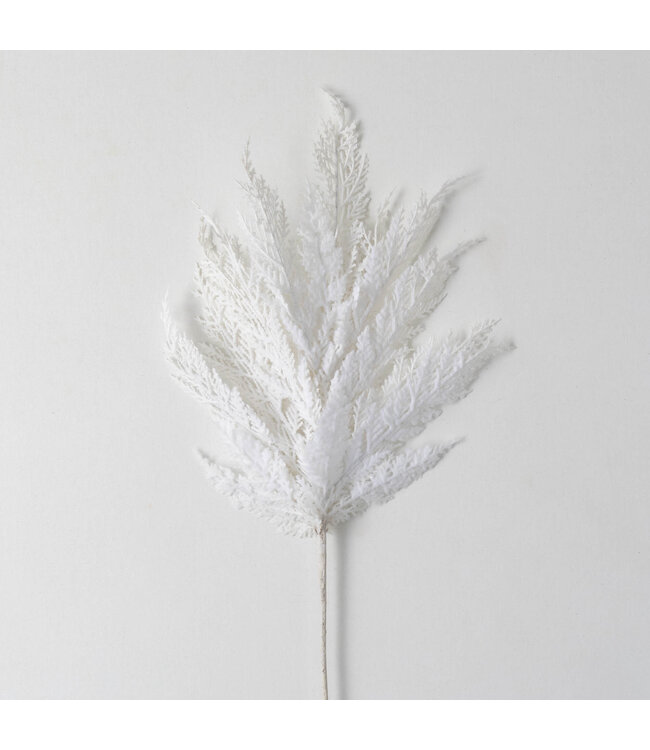 White Cypress Spray