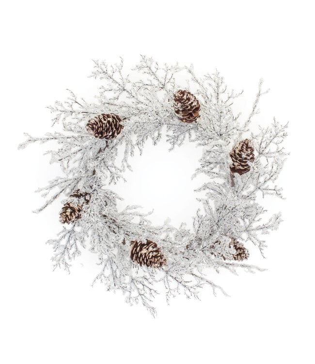 Ice Branch Wreath