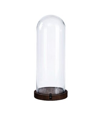 Clear Dome