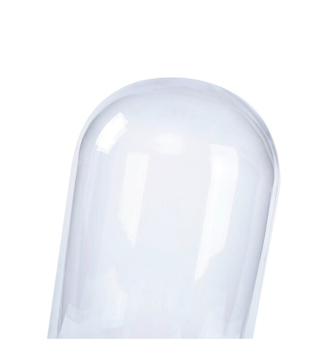 Clear Dome