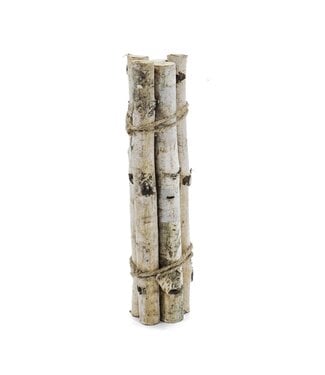 D1.1'' H11.8'' Birch Wood Vase Filler