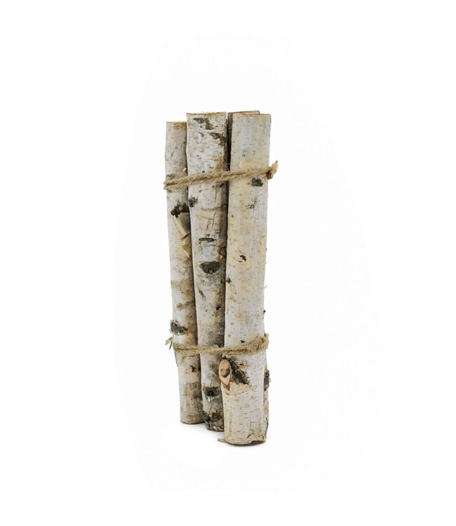 D1.6'' H11.8'' Birch Wood Vase Filler