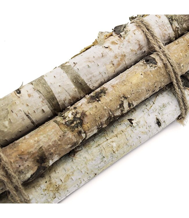 D1.6'' H11.8'' Birch Wood Vase Filler