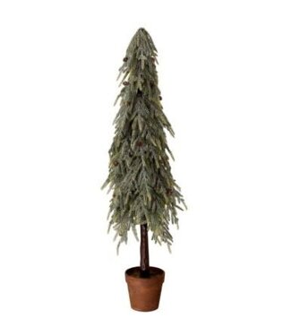 48" Potted Touch Frost Norfolk Pine Tree
