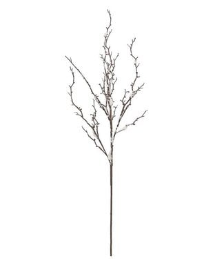 44" snow twig branch brown