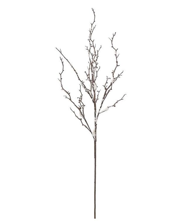 44" snow twig branch brown
